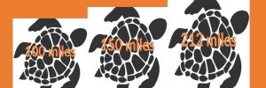 EC Miles pic draft 1